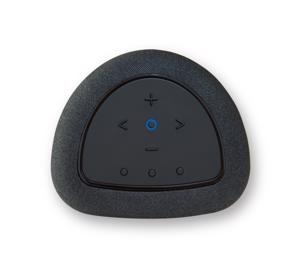 Bluesound Pulse Flex P130